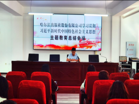 公司召开学习贯彻习近平新时代中国特色社会主义思想主题教育总结会议